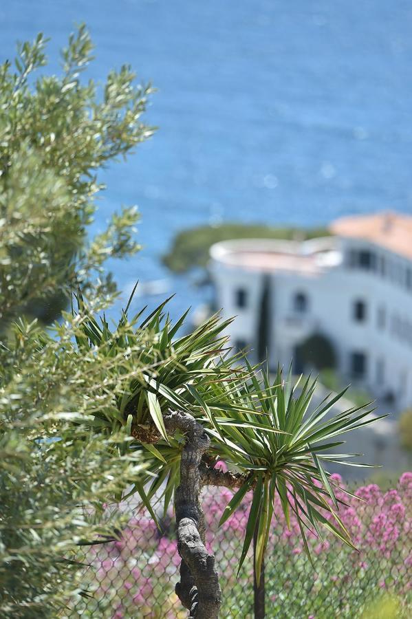 Le Son Des Vagues Vue Mer Cassis Luaran gambar